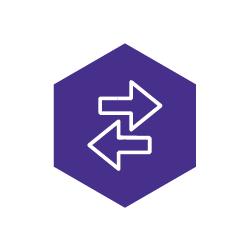 icon-language